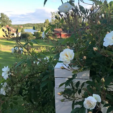 Bed & Breakfast Tukkilan Tila