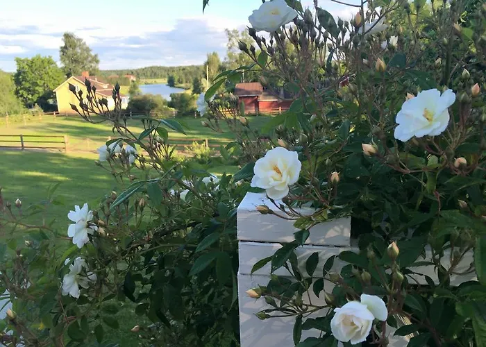 Panzió Tukkilan Tila