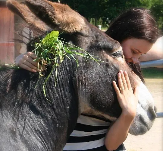 Tukkilan Tila Couette-café 4*