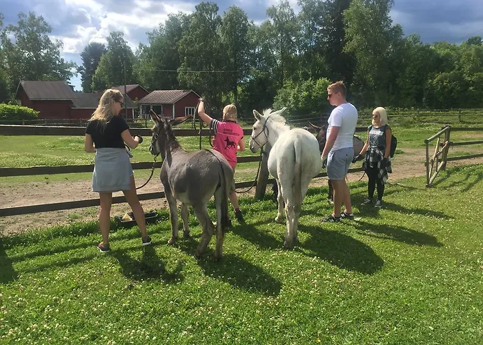 Tukkilan Tila Panzió 4*